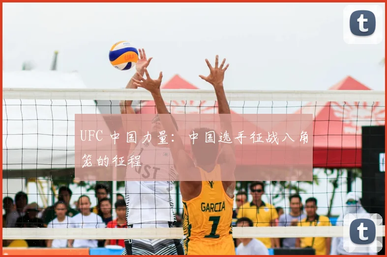 UFC 中国力量:中国选手征战八角笼的征程